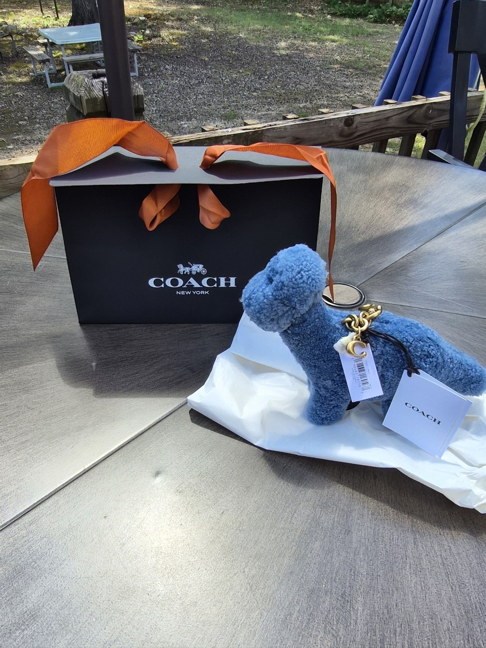 Coach Rexy 10th Birthday Buddy Dinosaur Bag Charm In Shearling - CEG50